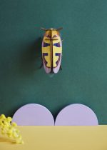 Mango Flower Beetle - Billede 2