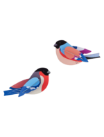 Finches