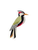 Woodpecker