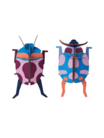 Coccinelle Couple