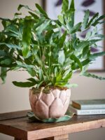 Potteskjuler med underskål - Billede 2