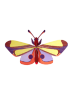 Purple Eyed Butterfly