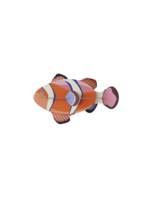 Clownfish