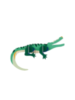 Crocodile