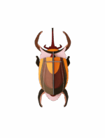 Elephant Beetle