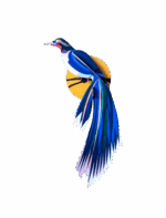 Paradise Bird, Flores