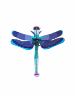 Sapphire Dragonfly