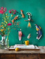 Paradise Bird, Flores - Billede 3