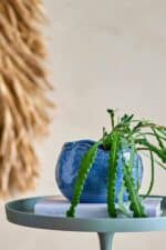 Potteskjuler - Pennie, Blå - Billede 2