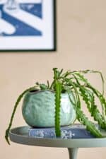 Potteskjuler - Pennie, Grøn - Billede 2